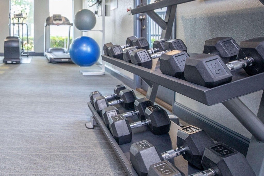A gym with a rack of dumbbells and a blue exercise ball.
