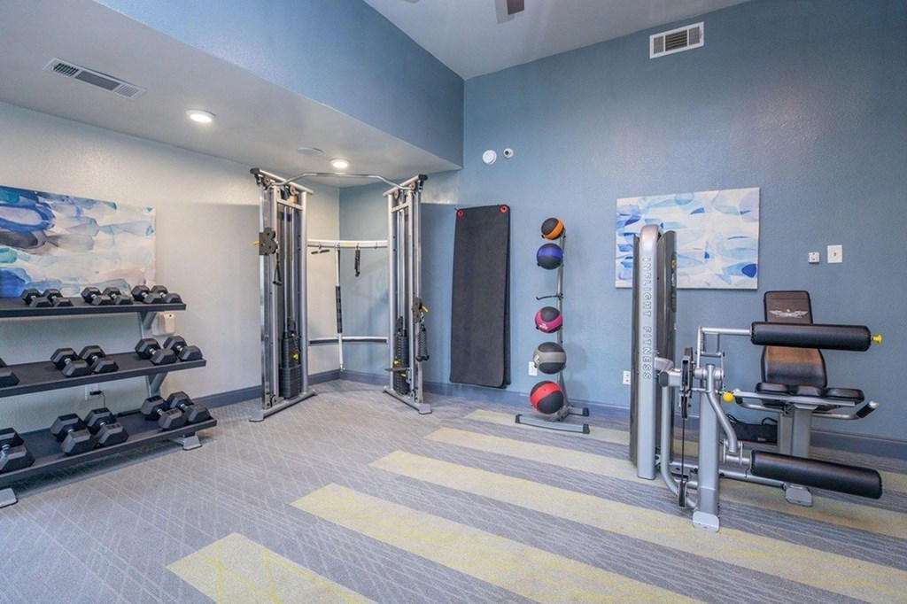 A gym with a variety of equipment including dumbbells, weight plates, and a bench press.