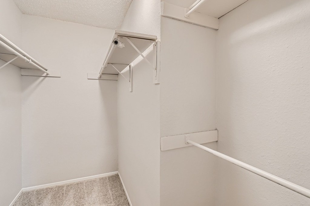 A white closet with a carpeted floor and two shelves.