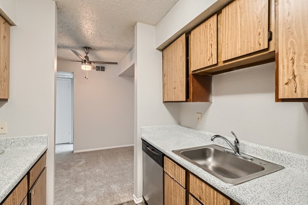 A kitchen with a sink and cabinets.