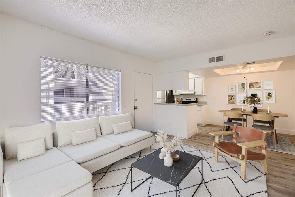A living room with a white couch and a black and white rug.