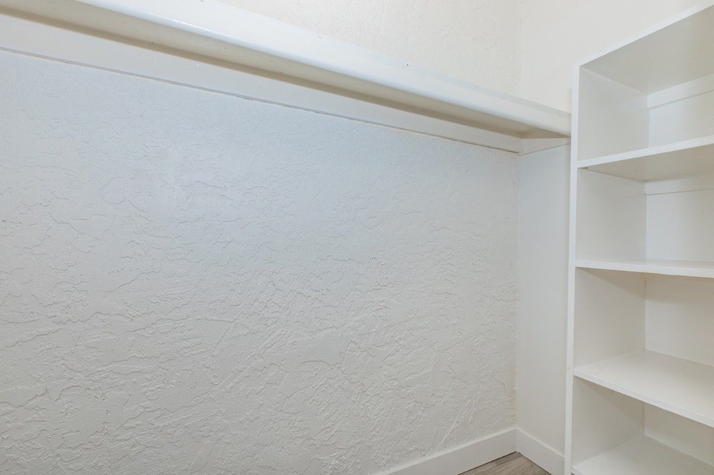 A white shelf is on the right side of the image.