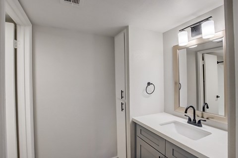 A bathroom with a white sink and a mirror above it.
