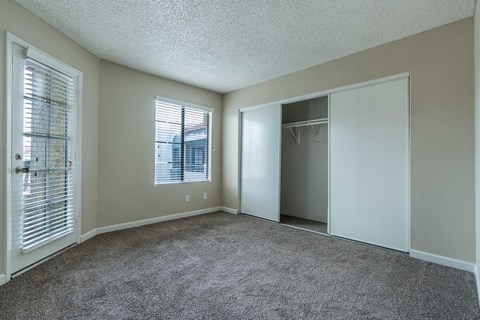 A room with a carpeted floor, a window with blinds, and a closet with a door.