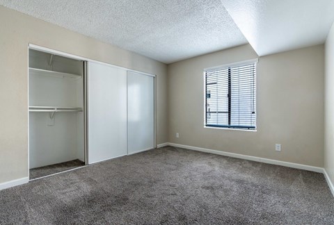 A room with a grey carpet, a white door, and a window with blinds.