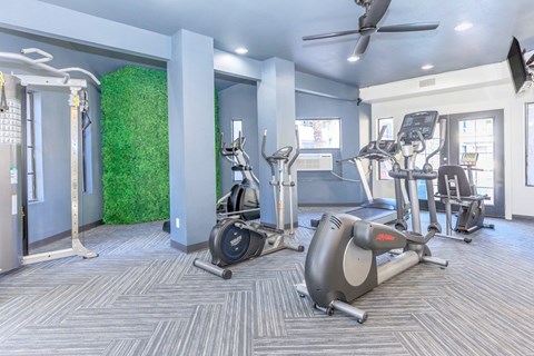 A gym with treadmills, elliptical machines, and a green wall.