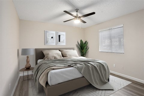 A bedroom with a bed, a lamp, and a ceiling fan.