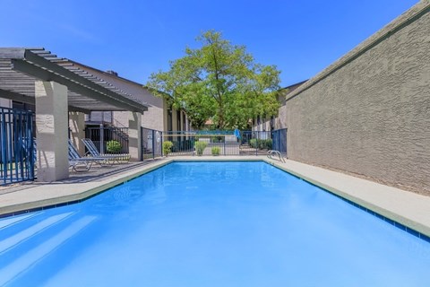 A large blue swimming pool in a sunny outdoor setting.