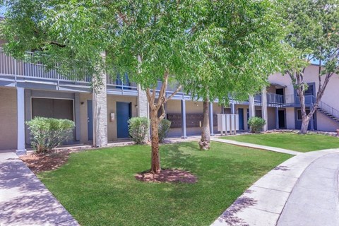A tree in a grassy area in front of a building.