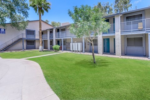 A sunny day at the apartment complex with green grass and palm trees.