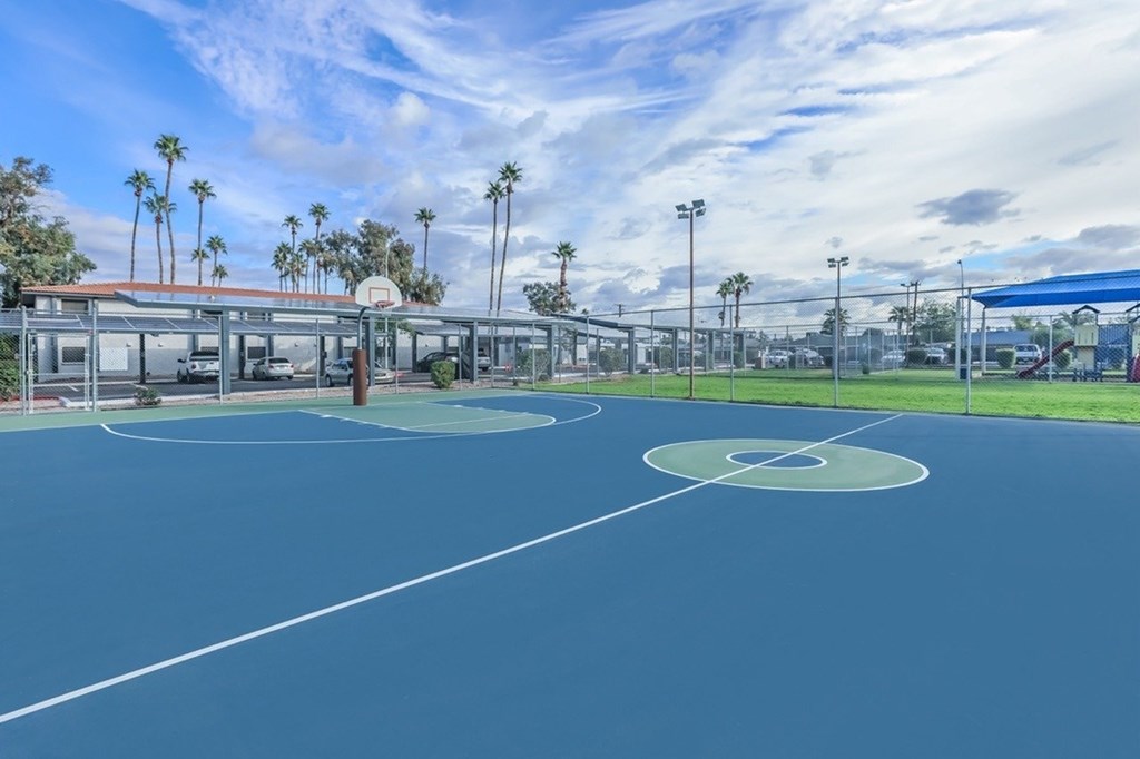 A basketball court with a blue surface and white lines, surrounded by palm trees and a clear sky.
