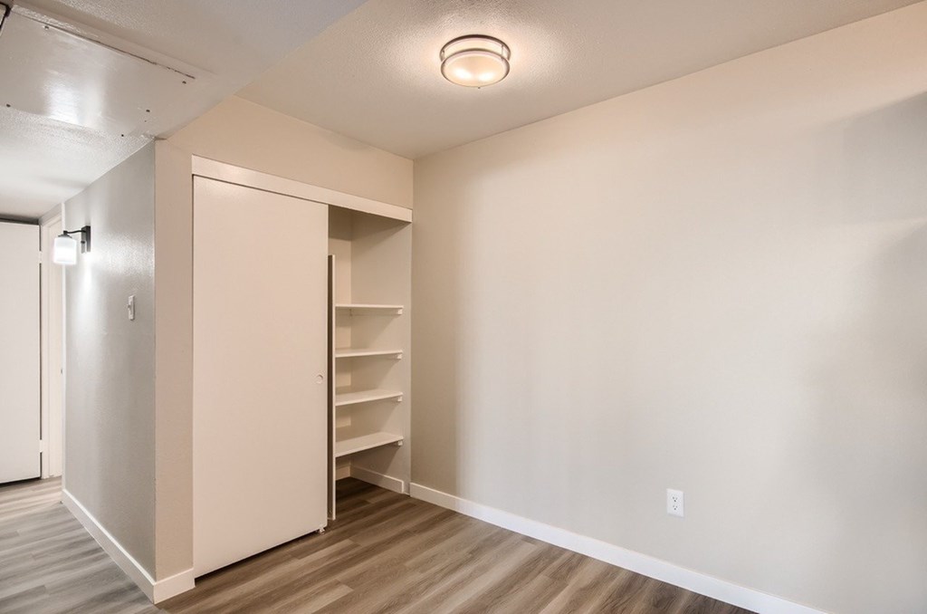 A white closet with a door open and shelves inside.