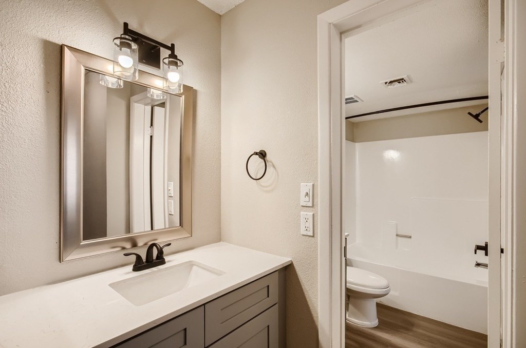 A bathroom with a sink, mirror, and toilet.