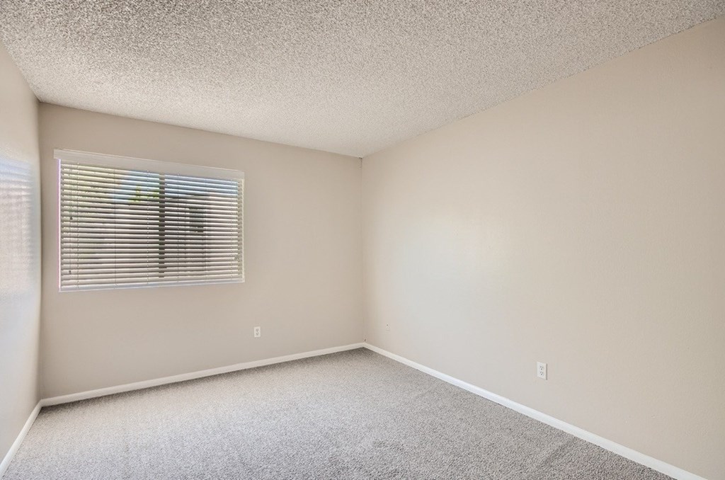 A room with a window and carpeted floor.