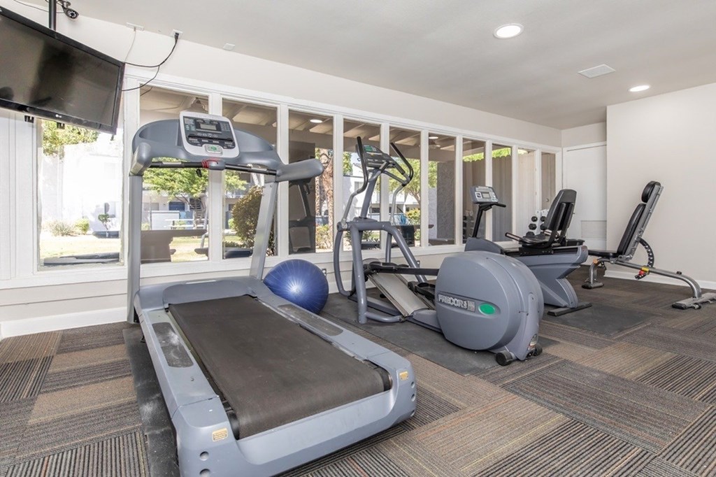 A treadmill, a rowing machine, and a stationary bike are in a gym.