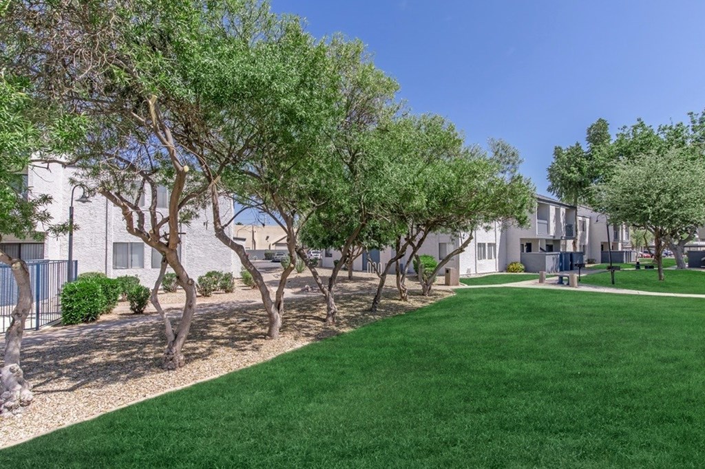 A row of trees line a grassy area in front of a building.