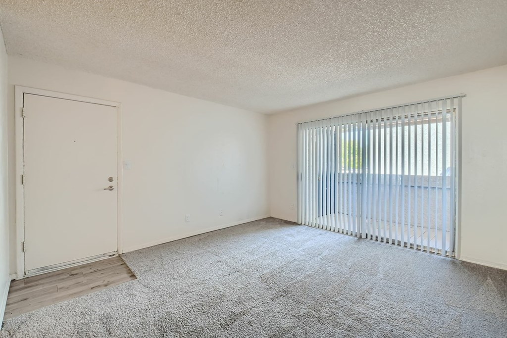 A room with a carpeted floor, a closed door, and a window with blinds.