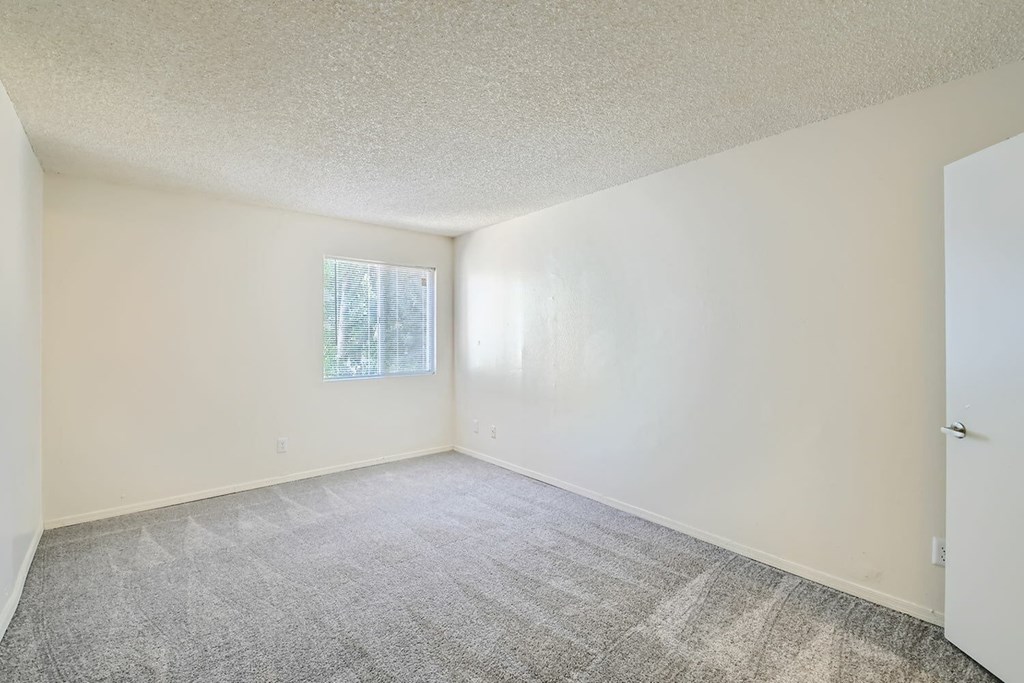 A room with a carpeted floor and a window letting in sunlight.