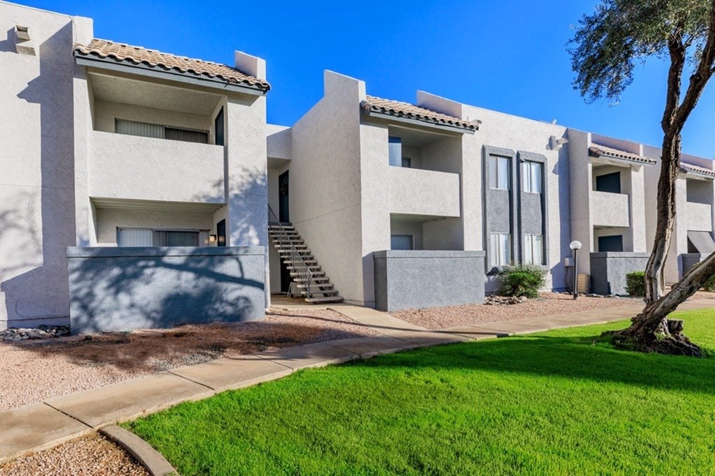 A row of modern houses with a tree in front of the last one.