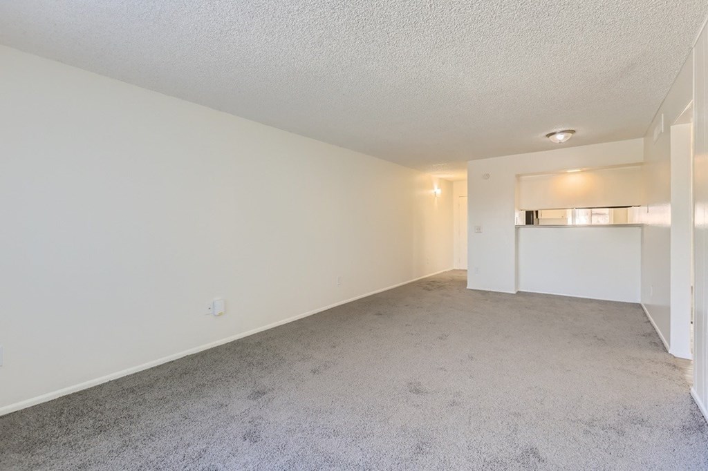 A spacious room with white walls and carpeted floor.