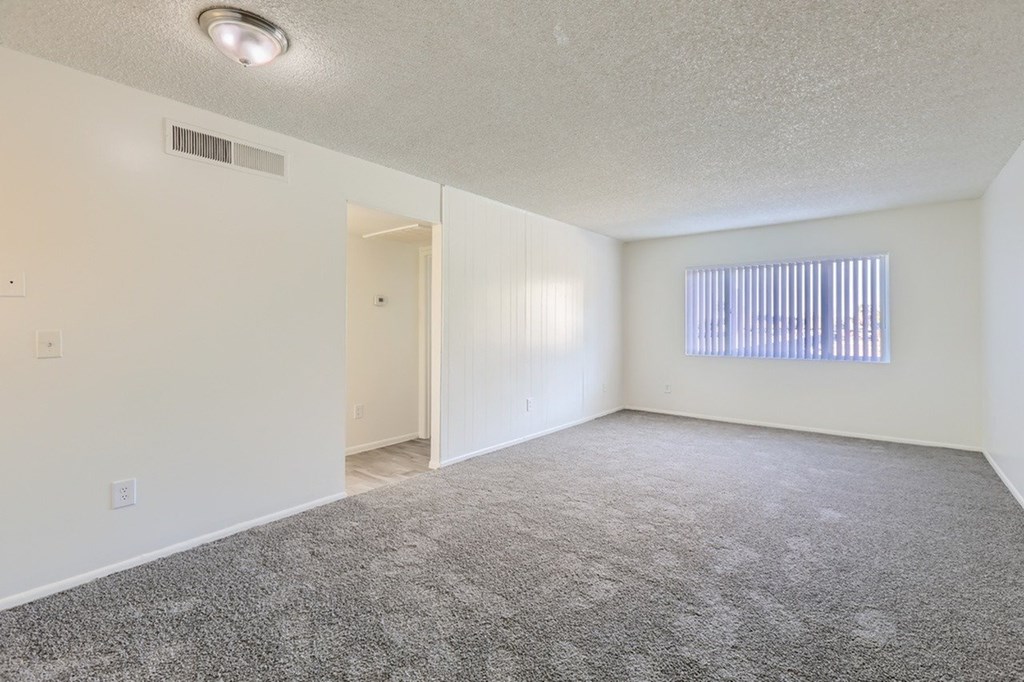A room with a carpeted floor and a window with blinds.