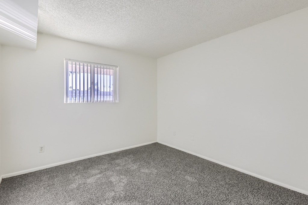 A room with a window and a carpeted floor.
