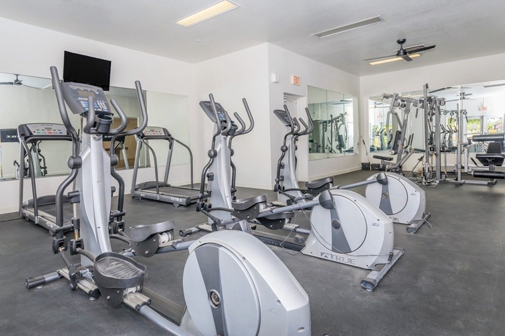 A gym with treadmills, elliptical machines, and other exercise equipment.