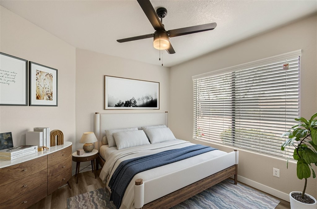 A bedroom with a bed, a ceiling fan, and a potted plant.