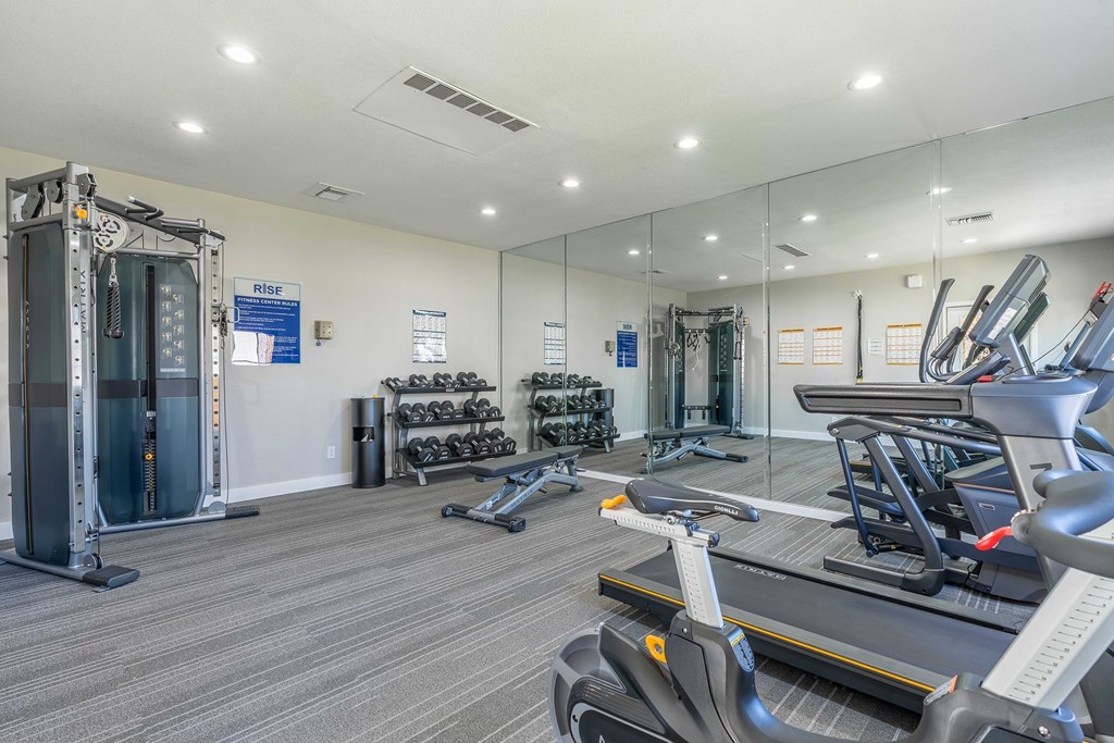 A gym with treadmills, weights and exercise machines.