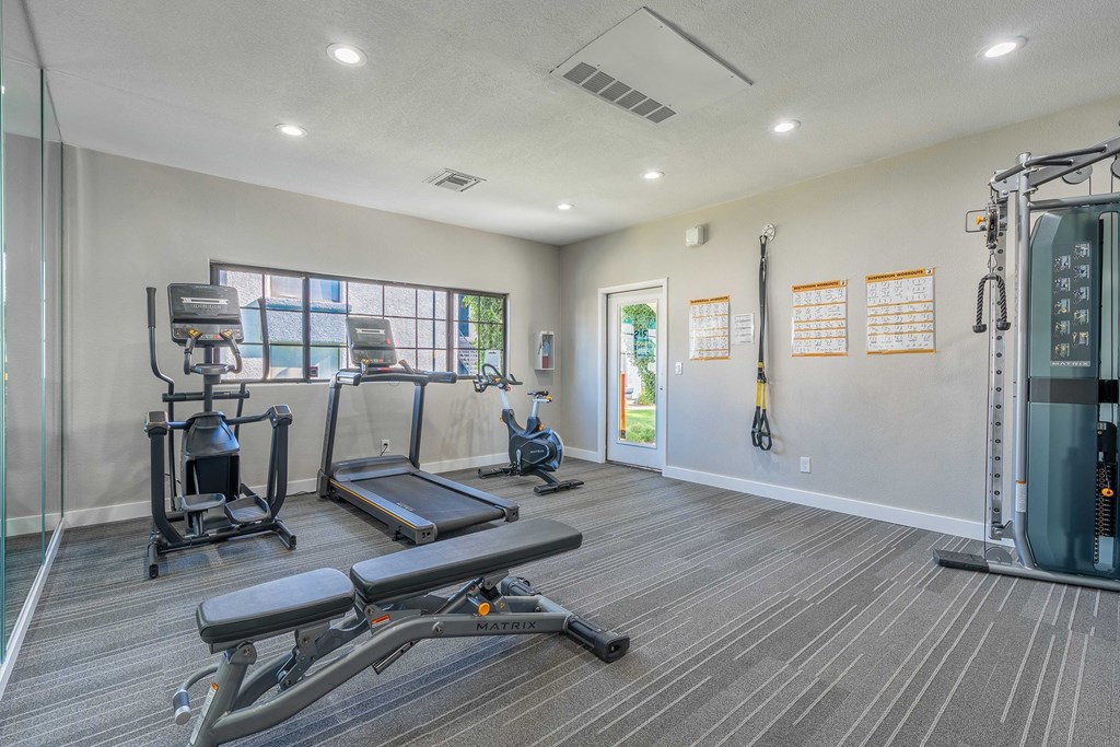 A gym with a variety of equipment including a treadmill, weights, and a bench press.