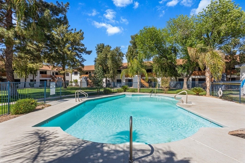 A swimming pool surrounded by trees and a fence.