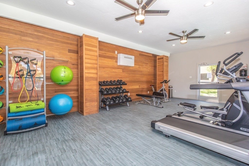 A gym with a treadmill, exercise balls, and weights.