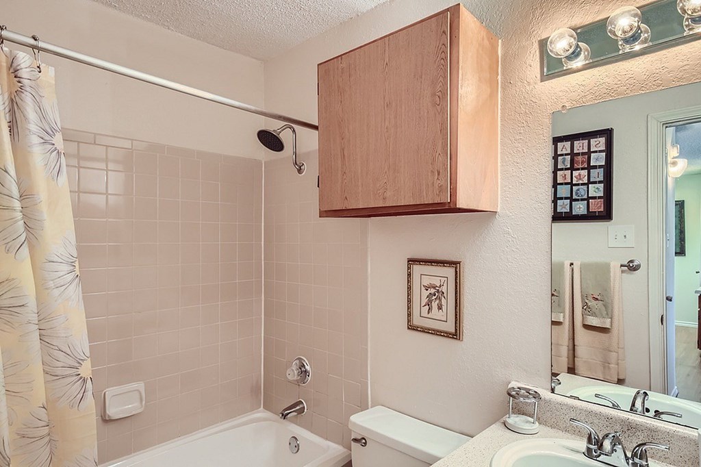 A bathroom with a shower, sink, and mirror.