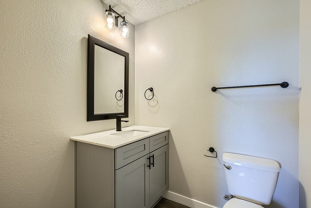 A bathroom with a white toilet and a mirror above a cabinet.
