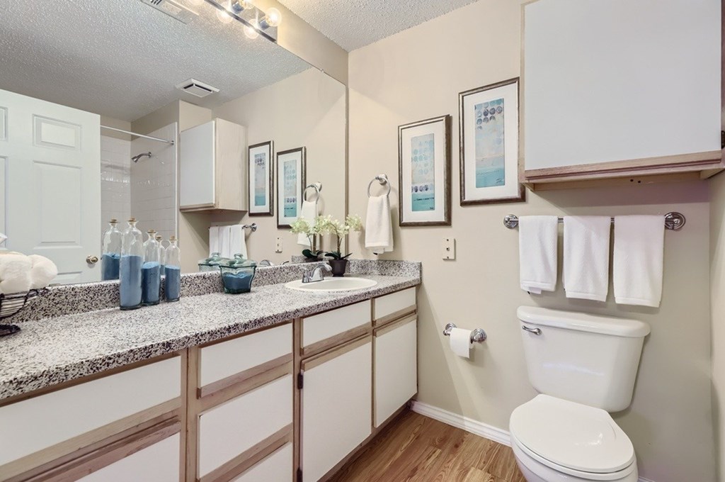 A bathroom with a toilet, sink, and mirror.
