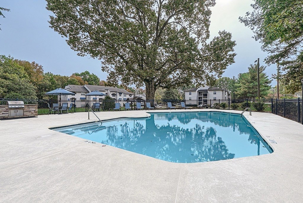 A large swimming pool surrounded by a fence and trees.