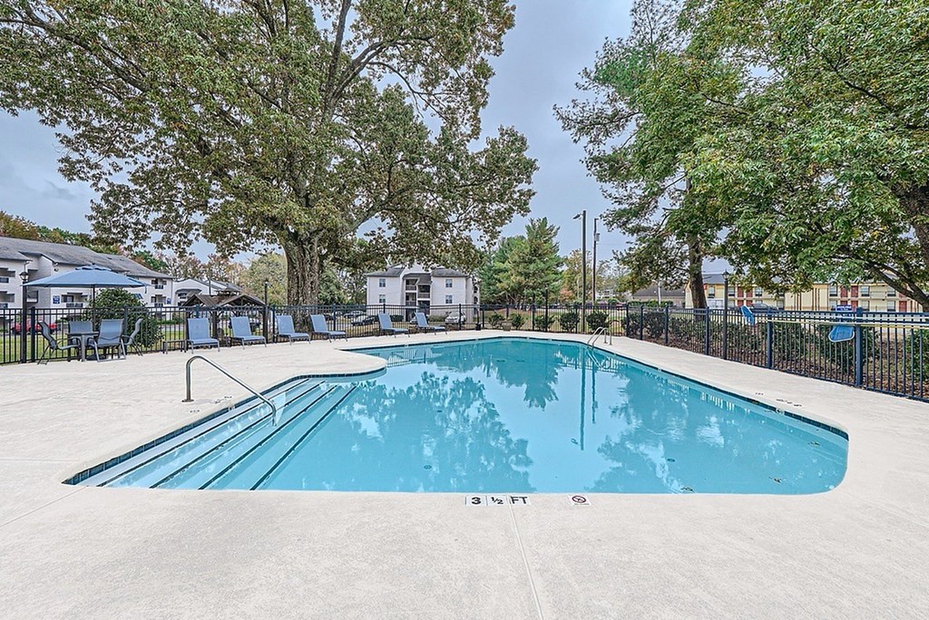 A swimming pool surrounded by trees and a fence.