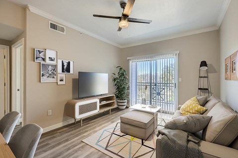 A living room with a television, couch, and a plant.