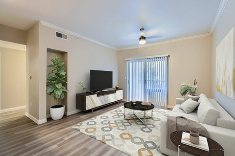A living room with a television, couch, and a plant.