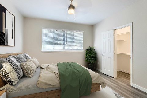 A bedroom with a bed, pillows, a blanket, a window with blinds, a plant, and a white door.