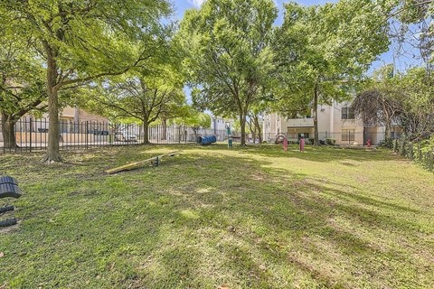 A sunny day in a park with trees and a fence.