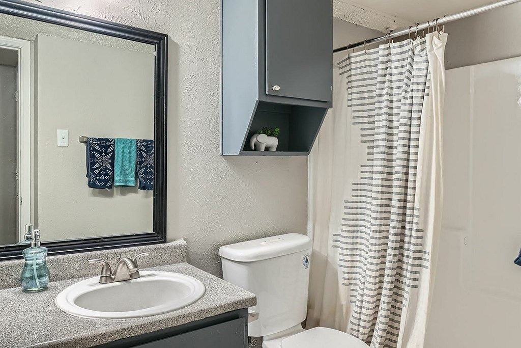 A bathroom with a sink, toilet, and shower curtain.