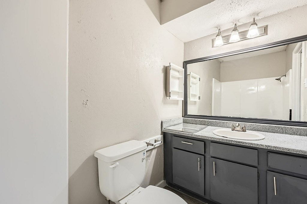 A white toilet sits next to a sink in a bathroom.