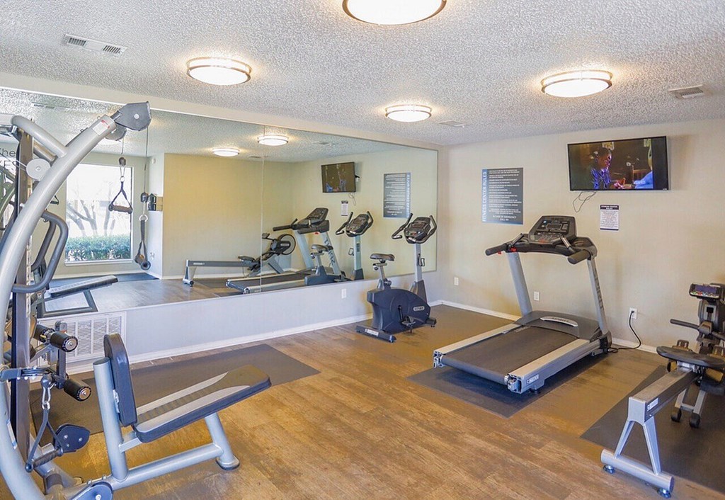 A well-equipped gym with a treadmill, exercise bike, and other cardio equipment.