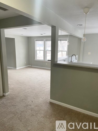 A carpeted room with a window and a sink.