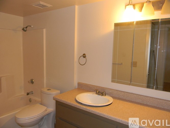 A bathroom with a toilet, sink, and mirror.
