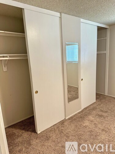 A room with a carpeted floor and a white closet with a mirror.