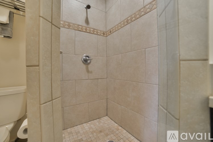 A bathroom with a tiled shower and a toilet.