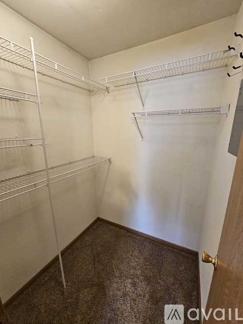A walk-in closet with shelves and a carpeted floor.