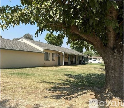 A tree is in the foreground of a house with a car parked in the driveway.